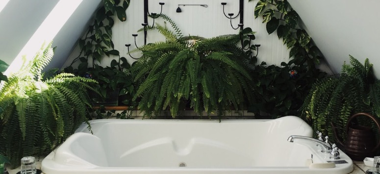 planten voor in de badkamer